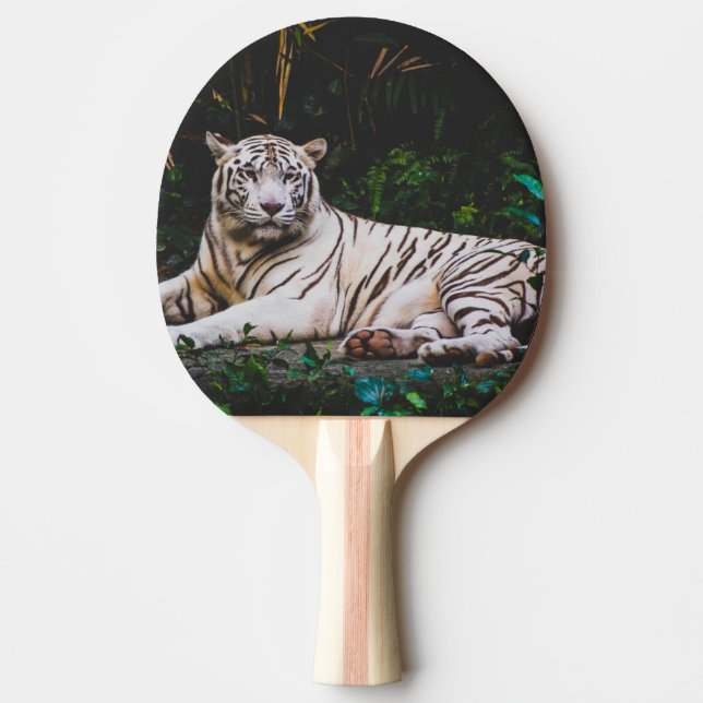 Tiger Ping Pong Paddle (Front)