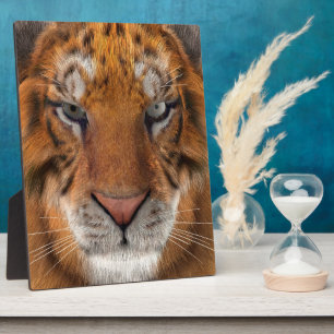 Tiger Plaque