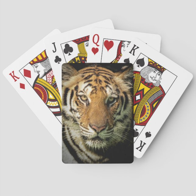 tiger playing cards (Back)