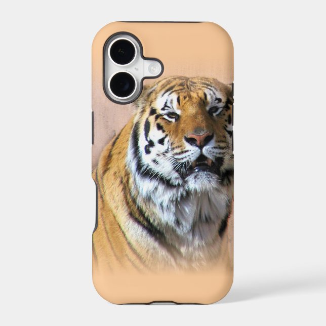 Tiger portrait (Back)