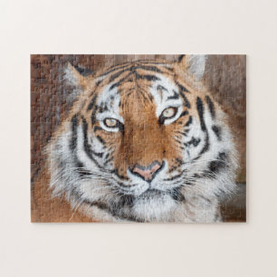 Tiger Portrait Jigsaw Puzzle
