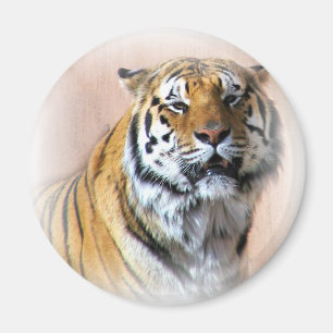 Tiger portrait magnet