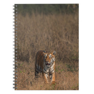 TIGER PORTRAIT NOTEBOOK