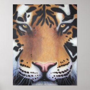 Tiger Portrait Poster