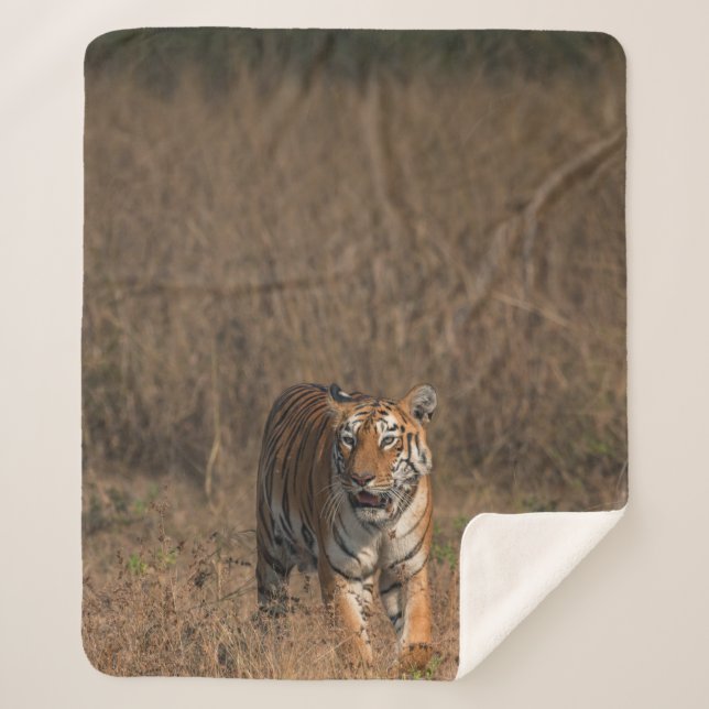TIGER PORTRAIT SHERPA BLANKET (Front)