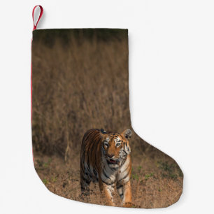 TIGER PORTRAIT SMALL CHRISTMAS STOCKING