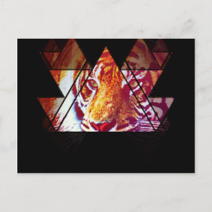 Tiger Postcard