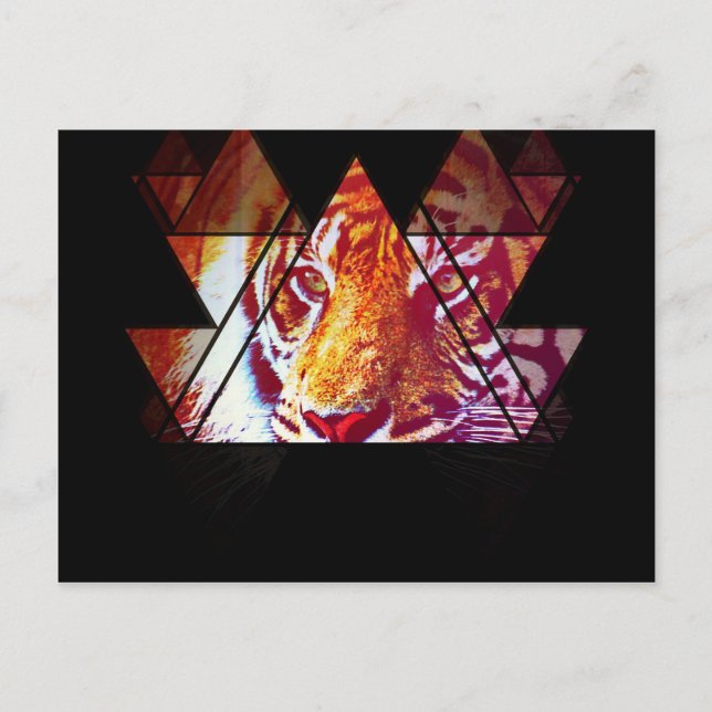 Tiger Postcard (Front)