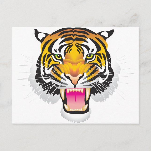 Tiger Postcard (Front)