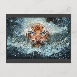 Tiger Postcard