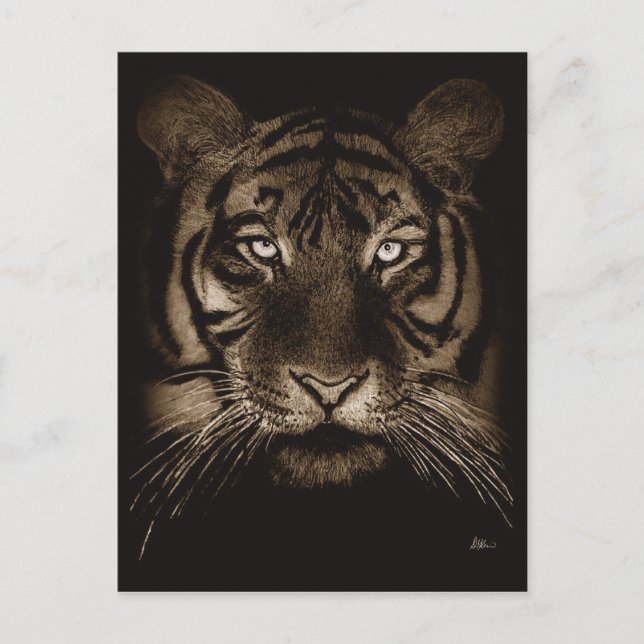 Tiger Postcard (Front)