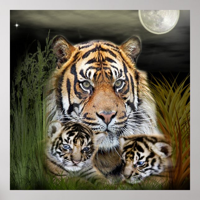 Tiger Poster (Front)