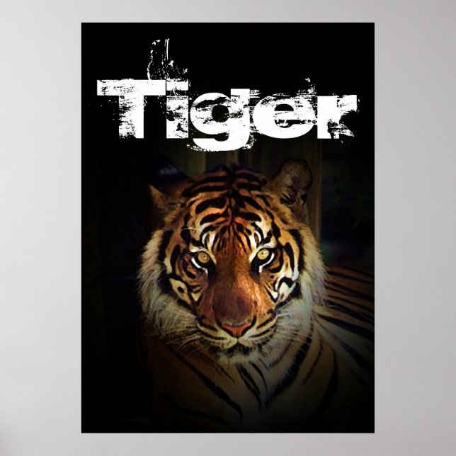 Tiger Poster (Front)