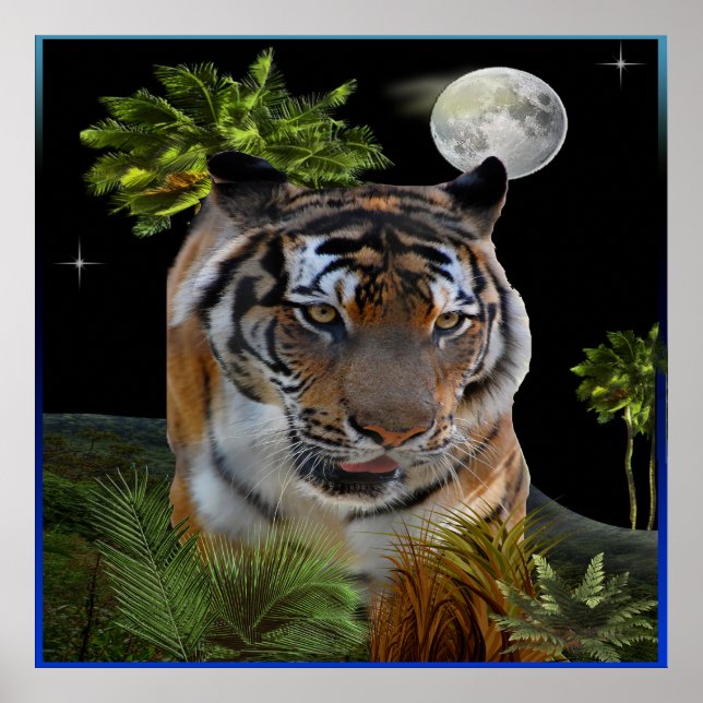 Tiger Poster (Front)