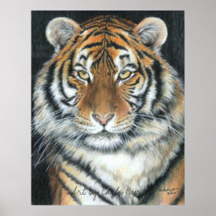 Tiger Poster, Art by Carla Kurt Poster