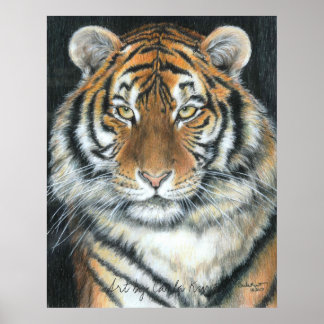 Tiger Poster, Art by Carla Kurt Poster