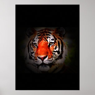 Tiger Poster Print - Pop Art Style Tigers Posters