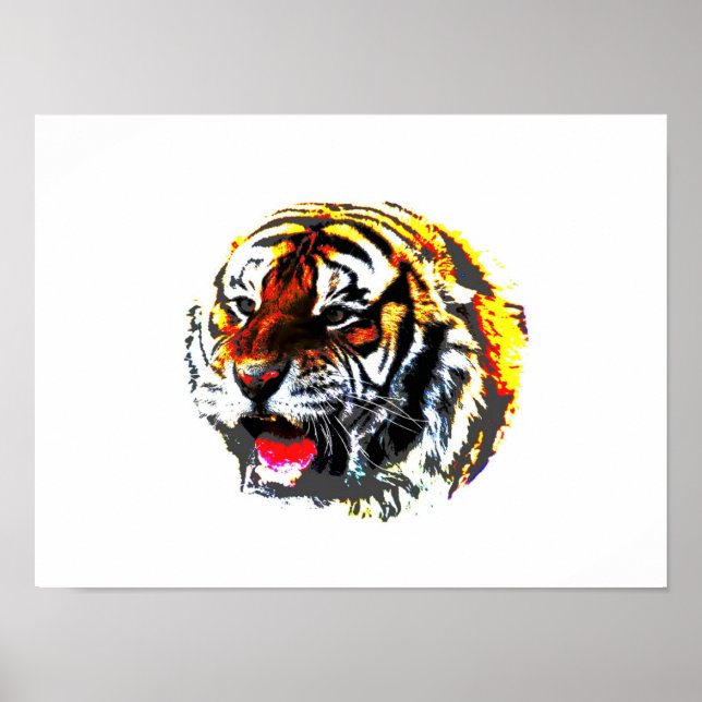 Tiger Poster Print - SiberianTigers Posters (Front)