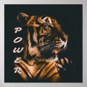 Tiger Power Stripes Fierce Motivational Poster