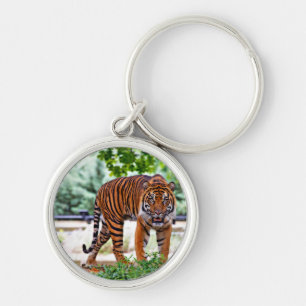 tiger print cat custom personalise Anniversaries Key Ring