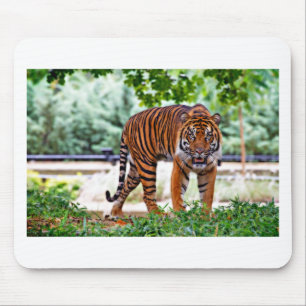 tiger print cat custom personalise Anniversaries Mouse Pad
