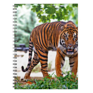 tiger print cat custom personalise Anniversaries Notebook