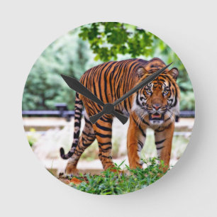 tiger print cat custom personalise Anniversaries Round Clock