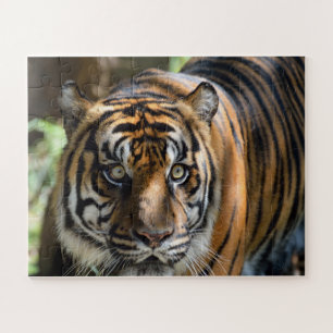  Tiger profile Jigsaw Puzzle