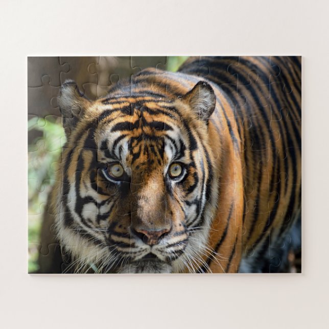  Tiger profile Jigsaw Puzzle (Horizontal)