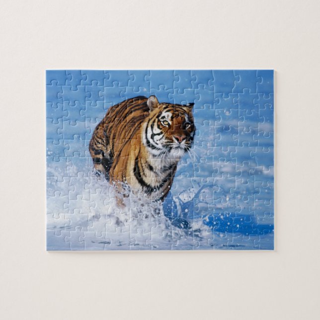 Tiger Puzzle (Horizontal)