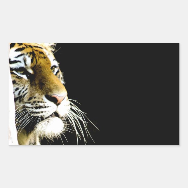 Tiger Rectangular Sticker (Front)