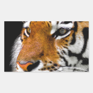 Tiger Rectangular Sticker