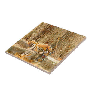 Tiger Reflection Ceramic Tile
