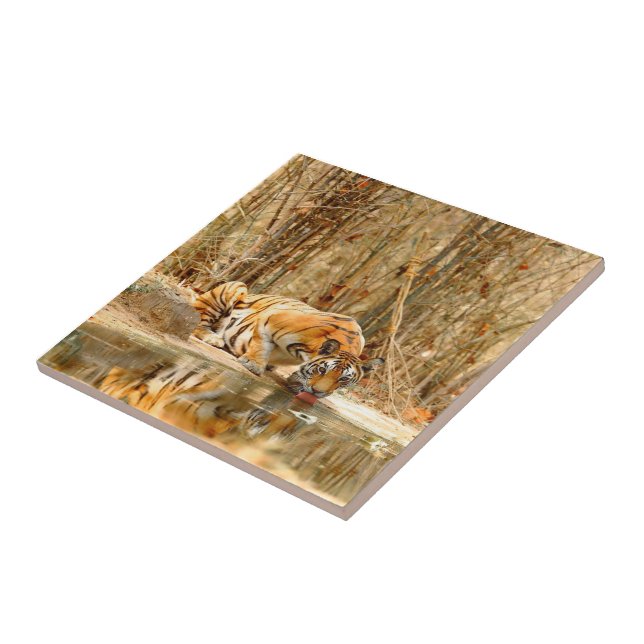 Tiger Reflection Ceramic Tile (Side)