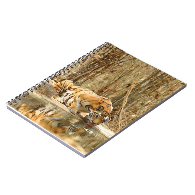 Tiger Reflection Notebook (Left Side)