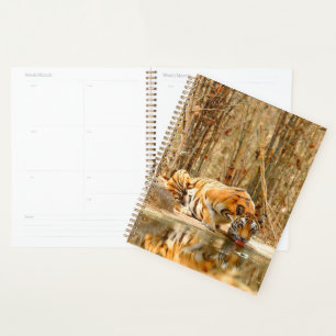 Tiger Reflection Planner