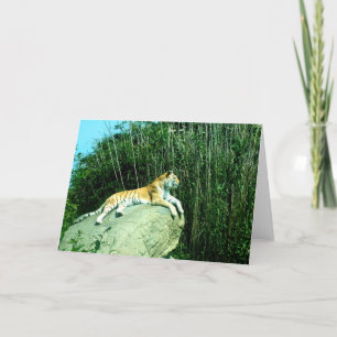 Tiger relaxing holiday card