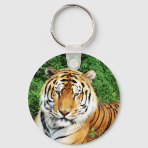 Tiger Relaxing Key Ring