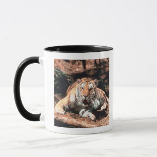 Tiger resting mug