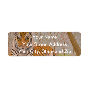Tiger Return Address Label