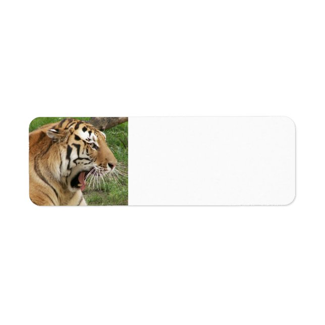 Tiger Return Address Label (Front)