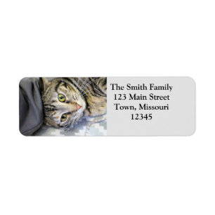 Tiger Return Address Label