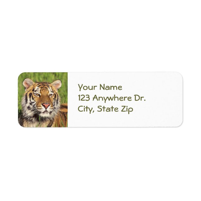 Tiger Return Labels (Front)