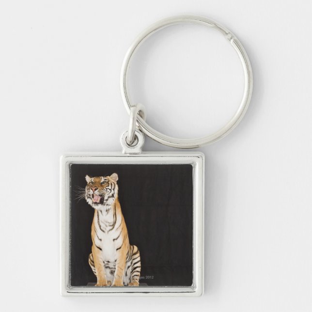 Tiger roaring key ring (Front)