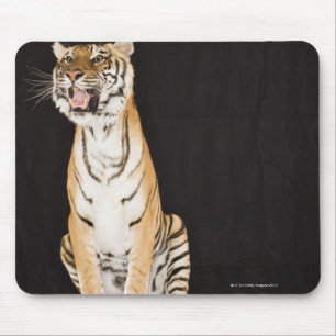 Tiger roaring mouse pad
