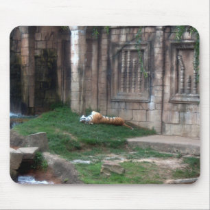 Tiger Roll Mouse Pad