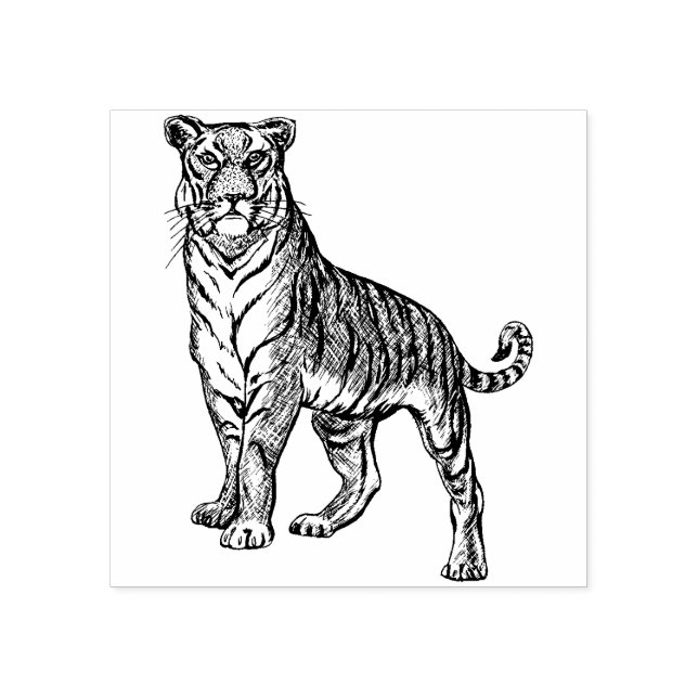 Tiger rubber stamp (Imprint)