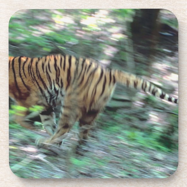 Tiger running coaster (Front)