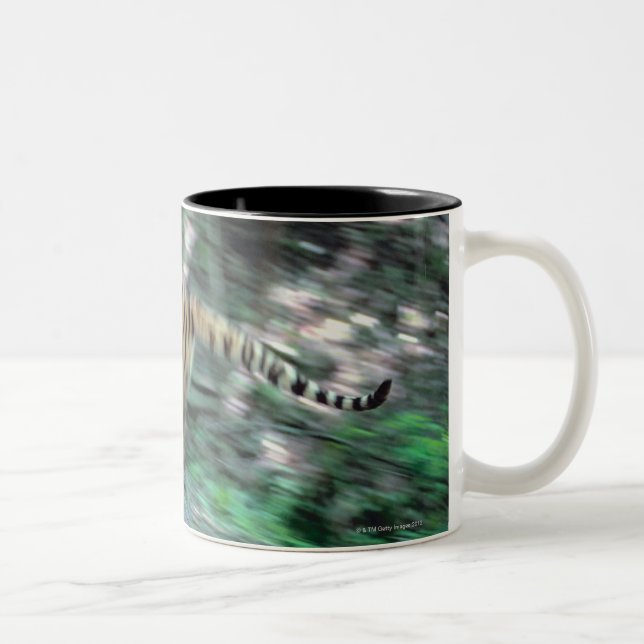 Tiger running Two-Tone coffee mug (Right)