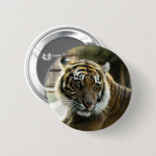 Tiger’s Grace 6 Cm Round Badge
